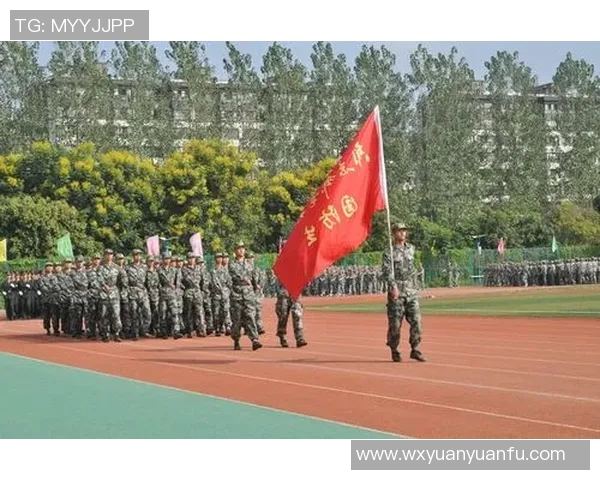 西安乒乓球队战术解析与表现评估全景分析