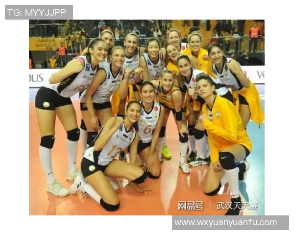 赛后分析：上海排球队与武汉排球队实力对比及比赛亮点解析