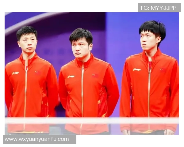 杭州乒乓球队在全国锦标赛中的个人能力表现全方位点评与分析