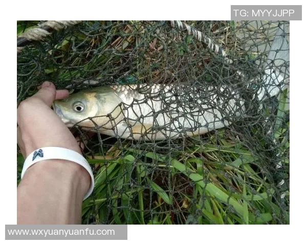 揭秘哪位足球明星在赛场外热爱钓鱼的生活与乐趣 揭秘哪位足球明星在赛场外热爱钓鱼的生活与乐趣