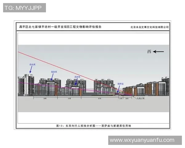 杭州篮球队在联合会杯中的状态分析与表现评估