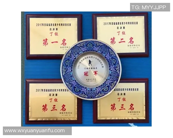 南京网球队与深圳网球队赛后技术分析与战术探讨