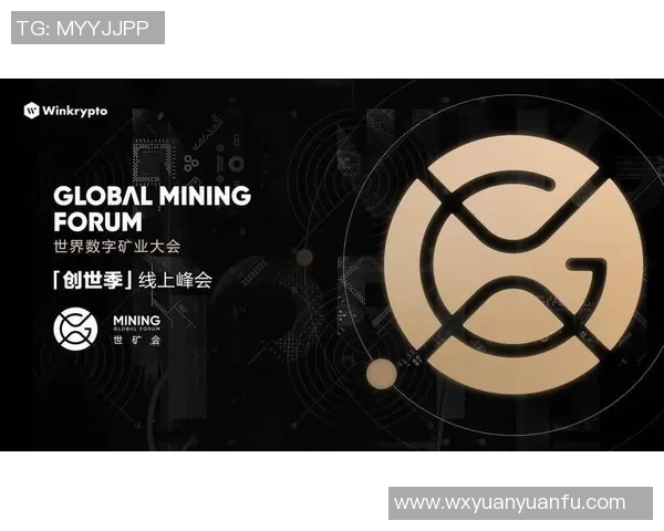 武汉羽毛球队运营分析:成功经验与面临挑战的深度探讨 武汉羽毛球队运营分析:成功经验与面临挑战的深度探讨