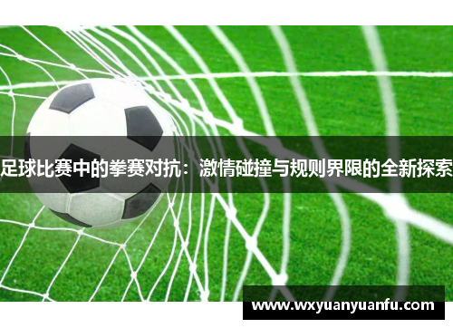 足球比赛中的拳赛对抗：激情碰撞与规则界限的全新探索