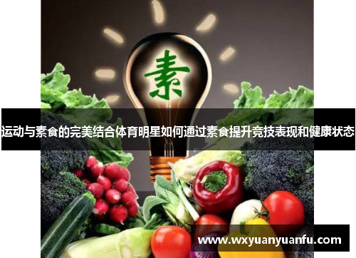 运动与素食的完美结合体育明星如何通过素食提升竞技表现和健康状态
